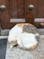 Marthe