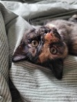 Elena