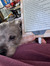 Britta