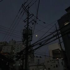 Ida