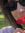 Leonor