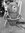 Arlo