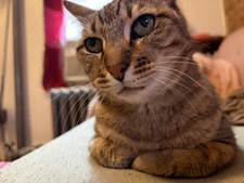 Gabby