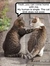 Meowmeo...