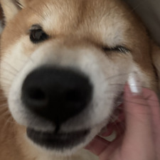 sera