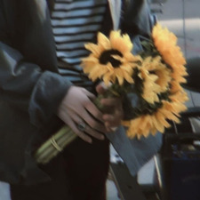 sylvi✮