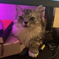 miso