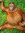 member photo member photo
