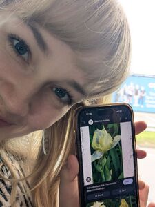 iiris