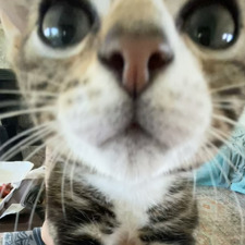 Anya :)