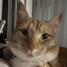 Zoe