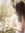 ⋆˚࿔ all...