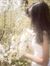 ⋆˚࿔ all...