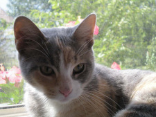 Claudia