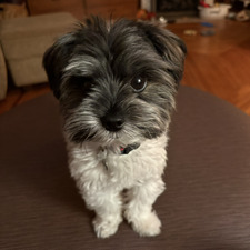 Barbara