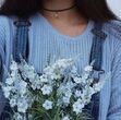 Mar ✻ 