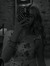 Aliz&#x...