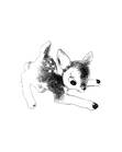thea ۶۟ৎ