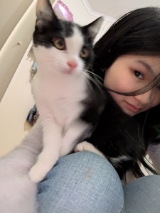 Minz
