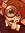 ꒻ꄲꇙꁝ