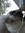 Kittyandmore