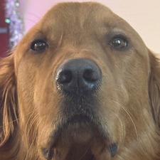 Sam Danker