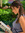 member photo member photo