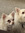 member photo member photo
