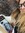 Andreea