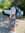 Abdulai  Akindele 
