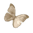 Talula 