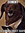 Max Payne