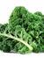 FreshKale