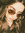 Augustė
