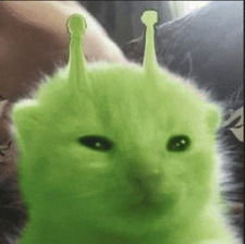 shroodled
