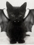 vampire...