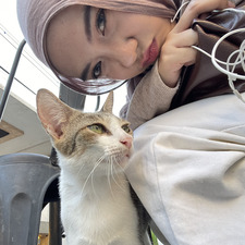 alya ⋆.ೃ࿔*:･