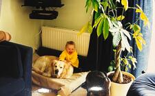 Sascha