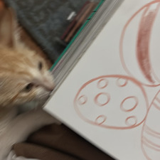 Haya