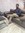  kitabiguftagu_with_rohit