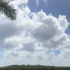 Lazara