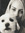 Cheryl Butterfield