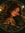 Little Rose | 1 comments