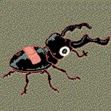 Bug