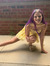 Kaydence