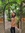 Rumana