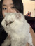 Tiffany...
