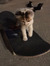 skater ...