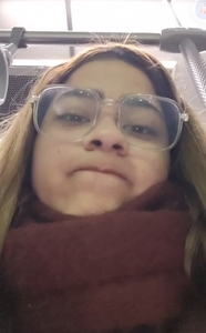 Tulipani_