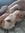 Keeley